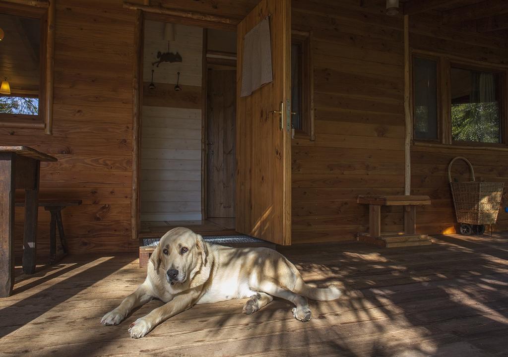 Masia El Moli De Can Aulet Guest House Arbucies Luaran gambar